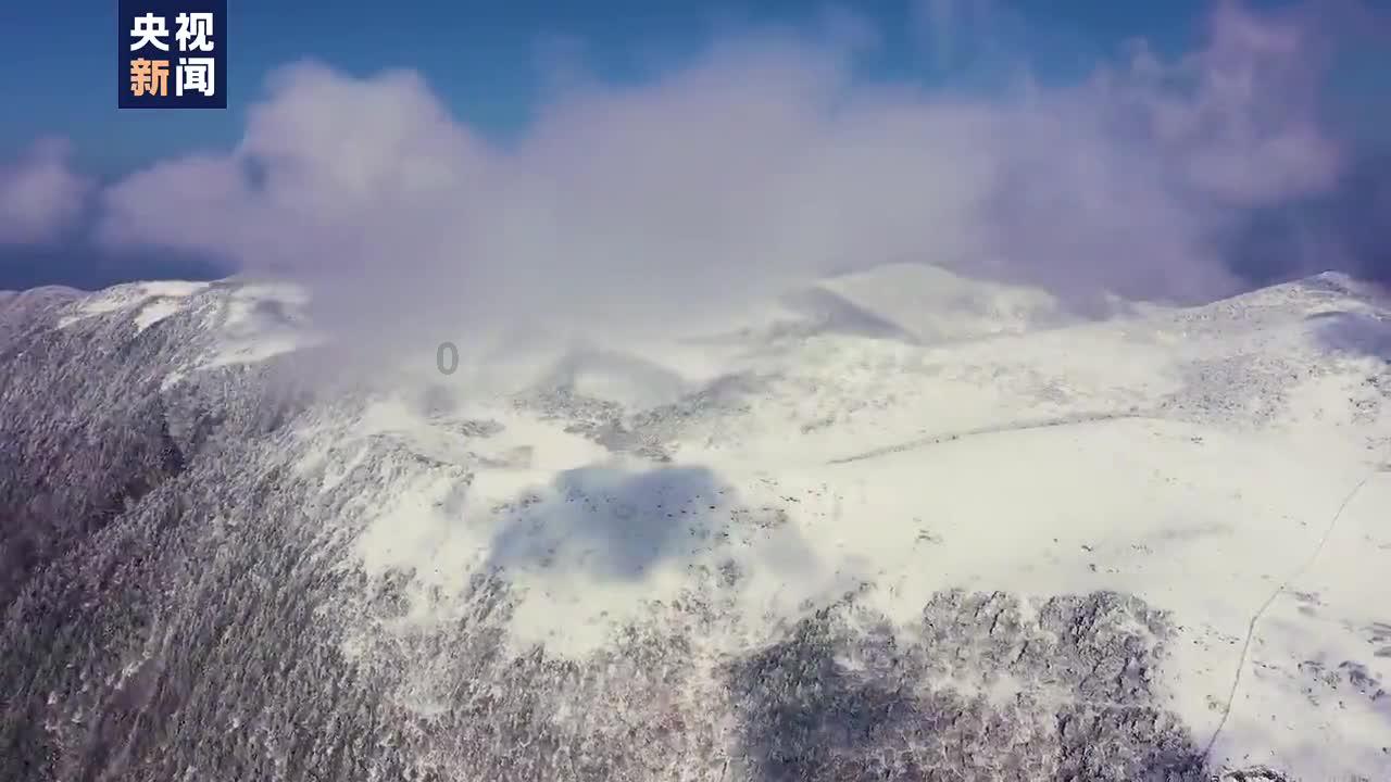 我每天晚上8点睡觉，凌晨3点起床做蔬菜批发，对身体有影响吗？