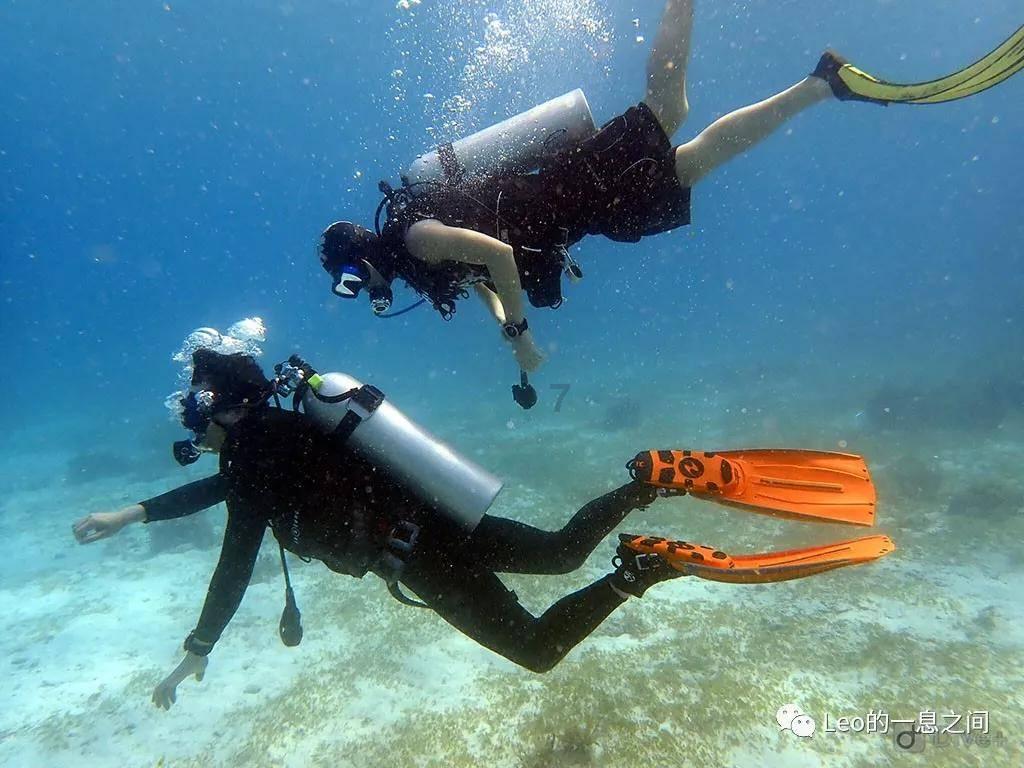 救援深海动物
