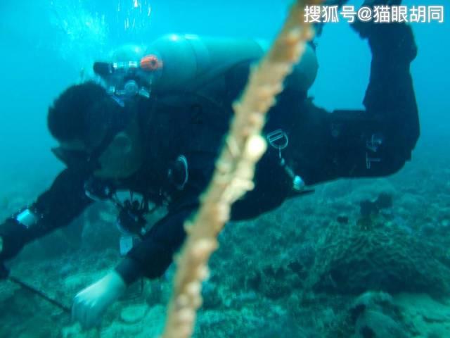 最美的校园女生73