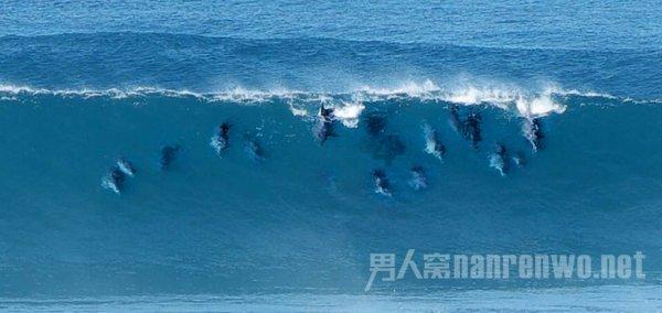 如何区分喜神、用神、忌神游戏画面