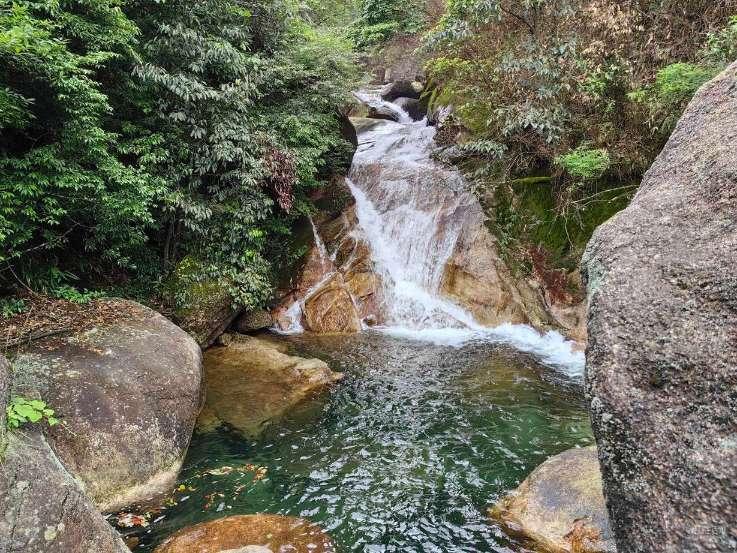 二刷《繁花》,才懂王家卫为什么用《偷心》
