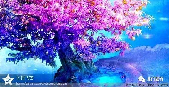 鸡爪怎么卤好吃？